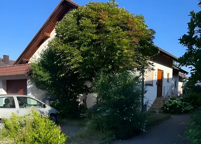 Coco * شالشتاد